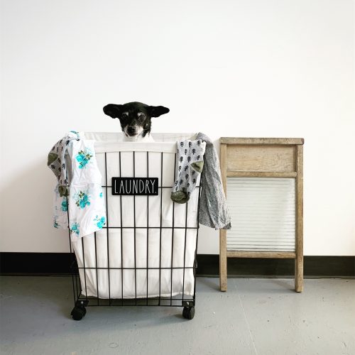 Rae Dunn Hamper Laundry Basket 